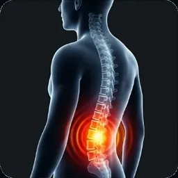 Espalda y zona lumbar